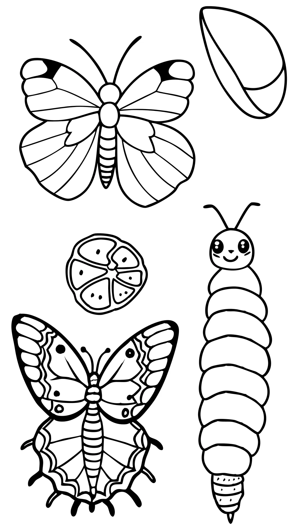 coloring pages butterfly life cycle